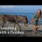 Hiking the Alps with a Donkey | Trekking from Munich to Italy’s Adriatic Coast | Donkey Trekking