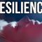 How to Increase Resilience