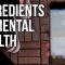 Ingredients of Mental Health