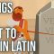 Things It’s Best to Say in Latin