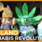 Thailand’s Cannabis Revolution | 101 East Documentary