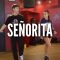 SHAWN MENDES & CAMILA CABELLO – Señorita | Kyle Hanagami Choreography