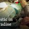 The Galapagos Islands – Plastic in the Pacific | DW Documentary