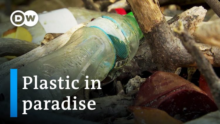 The Galapagos Islands – Plastic in the Pacific | 德国之声纪录片