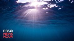 The ocean helps absorb our carbon emissions. We may be pushing it too far #Shorts