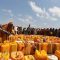 News Wrap: Somalia drought killed an estimated 43,000 people last year