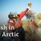 How is garbage reaching the Arctic Circle? | DW Documentary