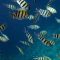 Historic deal to protect ocean biodiversity reached at UN conference