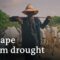 Climate change and water scarcity in Benin | DW Documentary