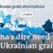 Will Beijing’s call for ‘cooperation’ pressure Russia into a new black sea grain deal? | DW News