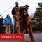 拜登愛犬「壓力很大」4個月內咬傷7名白宮特勤人員－ BBC News 中文