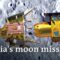 Why is the moon’s south pole so significant? | DW News