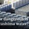 Japan releases radioactive water into Pacific Ocean amid protests | DW News