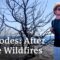 Rhodes: Is Tourism Back to Normal After the Wildfires on the Greek Island?